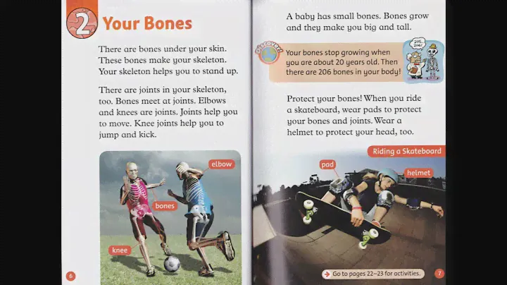 (Oxford RnD - Level 2) Your Body